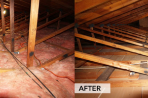 Screenshot 2025-12-31 at 19-21-33 FORES FRESH HOME SOLUTIONS - #1 Chimney & Duct Cleaning Company