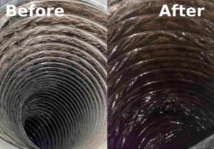 WhatsApp Image 2026-02-03 at 2.28.56 AM